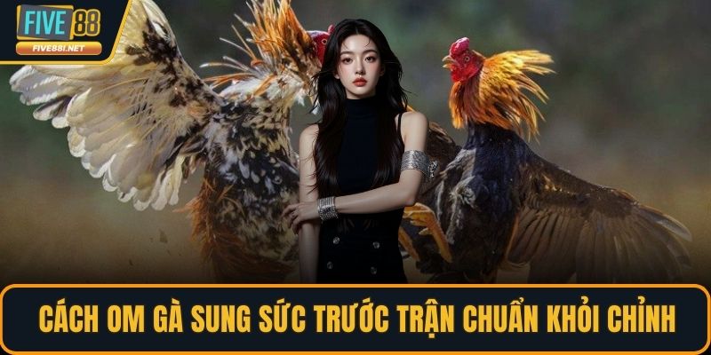 Cách om gà sung sức trước trận chuẩn khỏi chỉnh