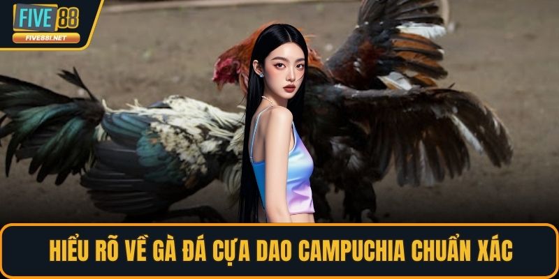Hiểu rõ về gà đá cựa dao Campuchia chuẩn xác