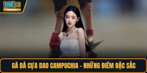 Gà đá cựa dao Campuchia